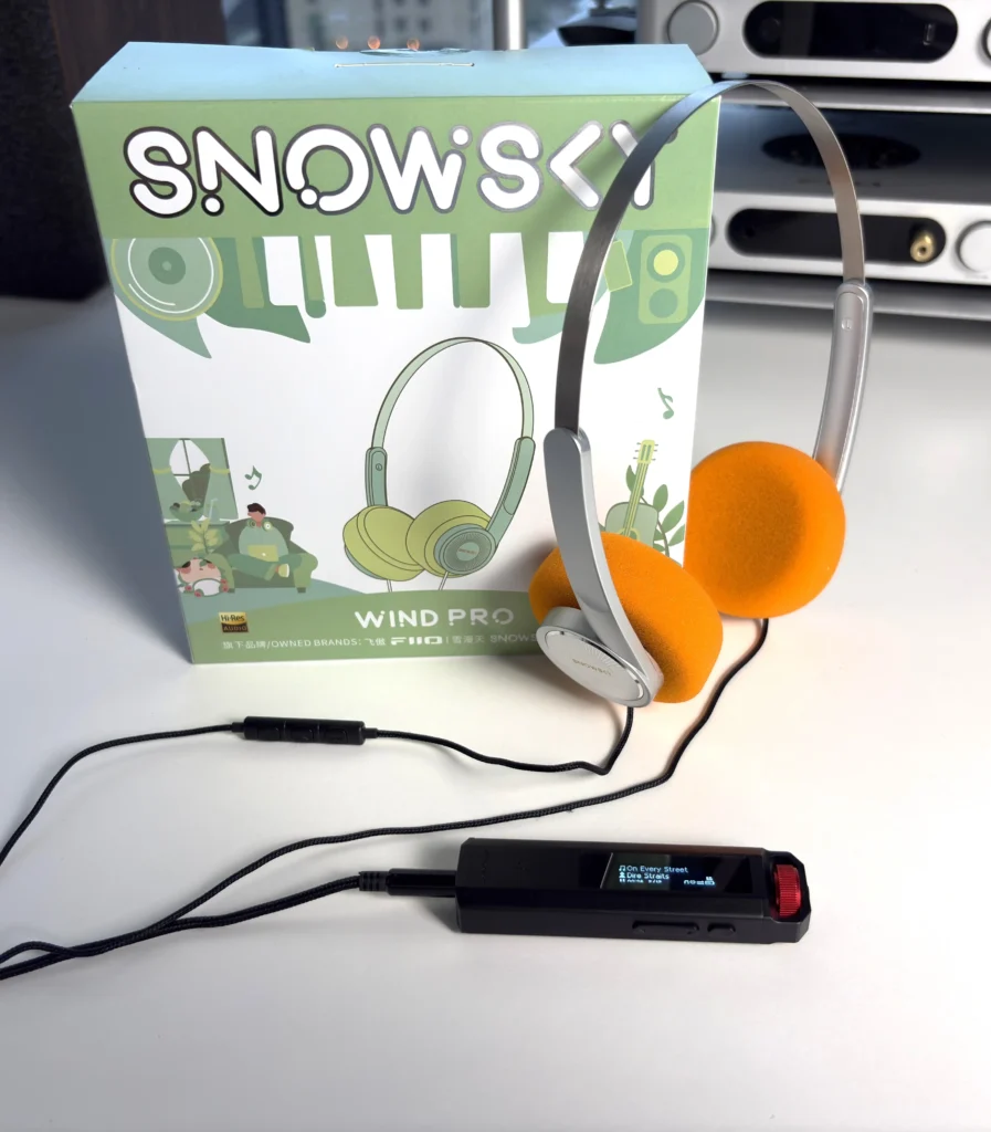 Sony NW-ZX300 - HiFi Oasis